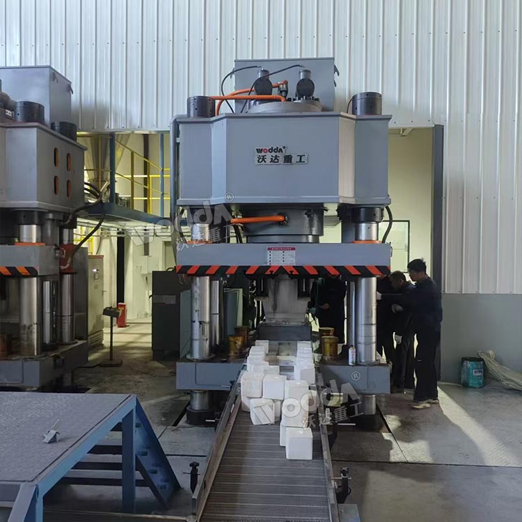 800噸牛羊舔磚液壓機現場