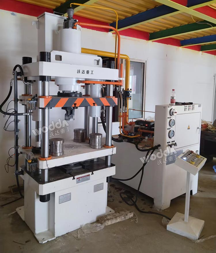 100噸動物營養飼料壓塊機 100噸動物營養飼料壓塊機